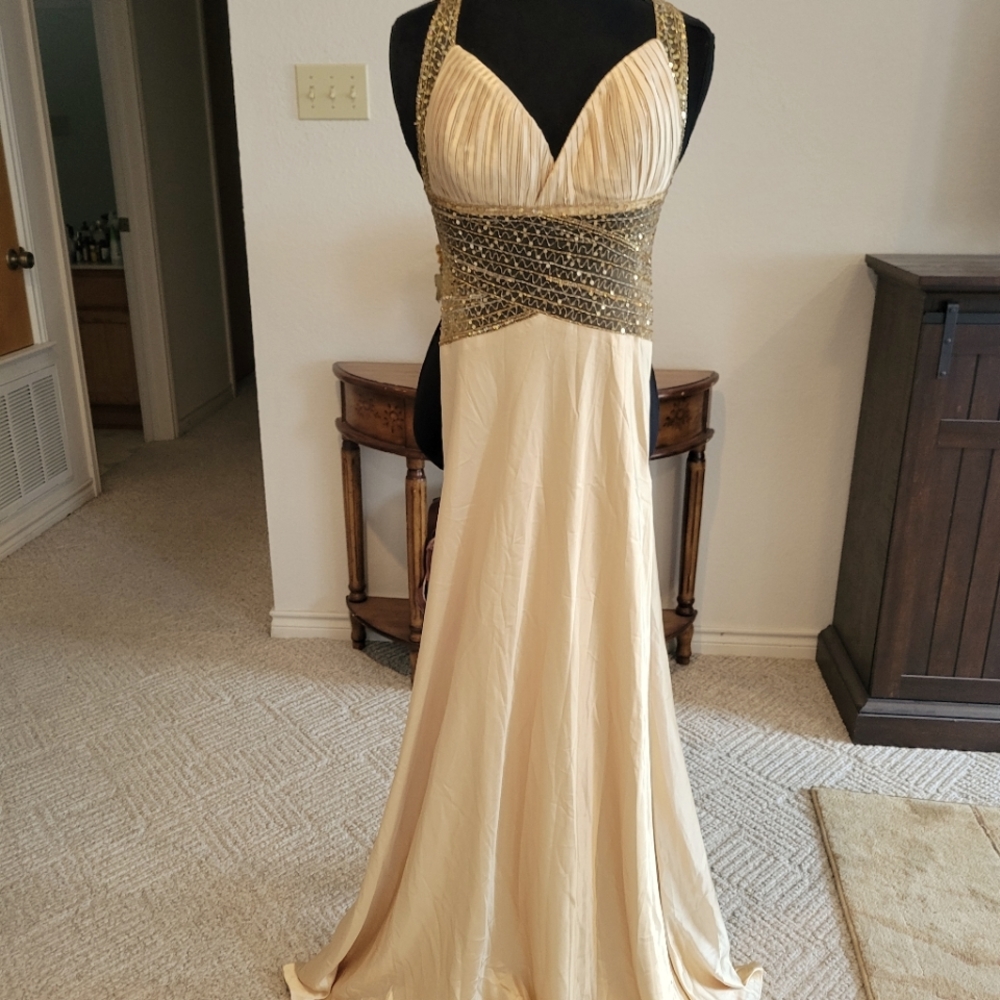 Cinderella size 8 Prom Ball Dress